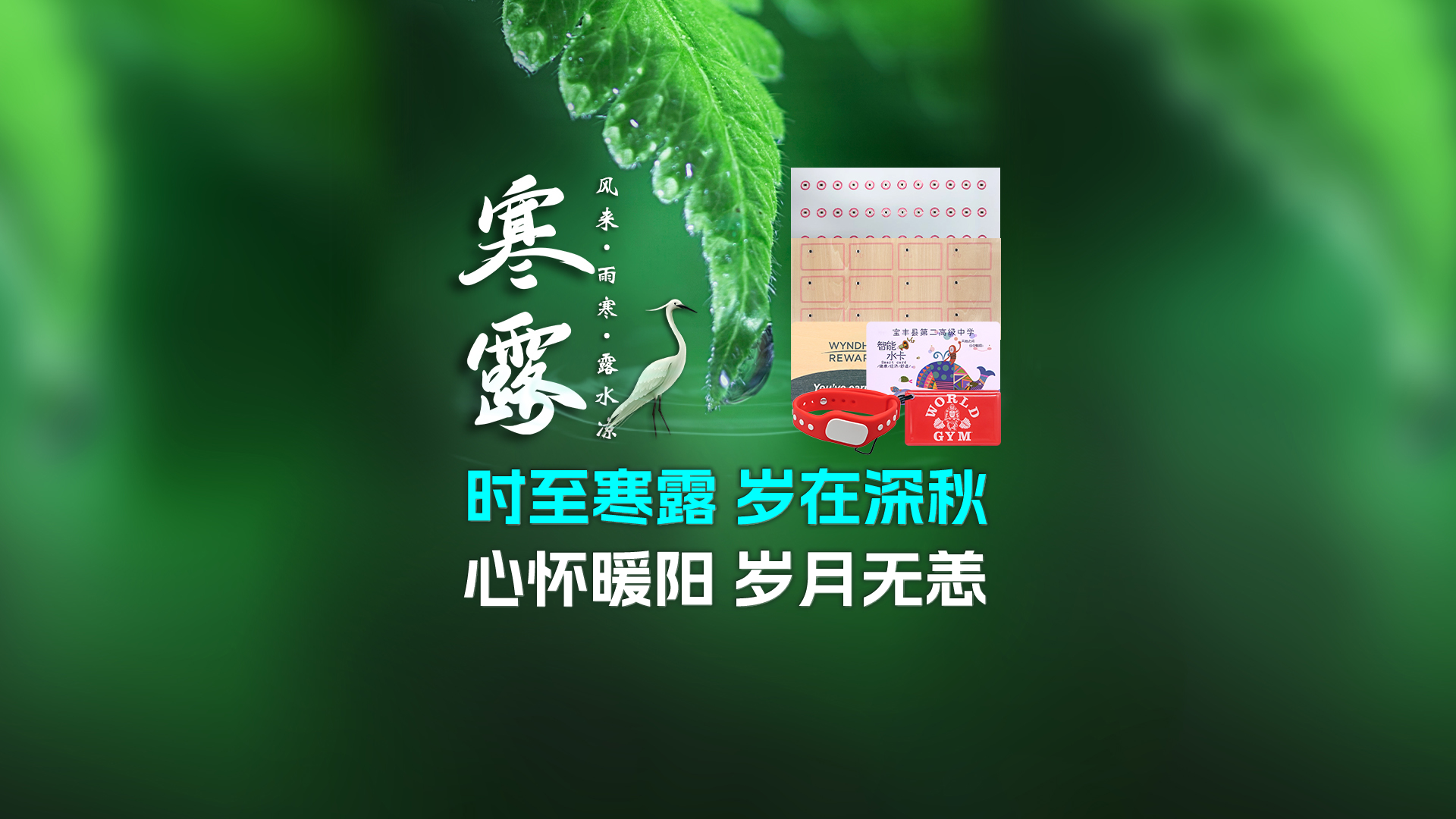 寒露至秋意濃，卡立方集團攜RFID智能卡中料木卡腕帶伴您暖度深秋
